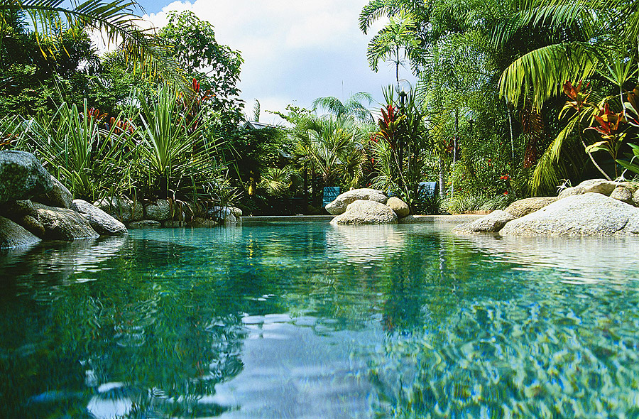 tropical resort swimming pool eco pool Florida