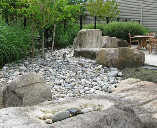 eco friendly hospital rain garden