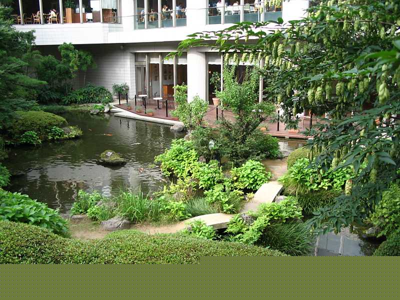 eco sensitive hotel water garden in Florida