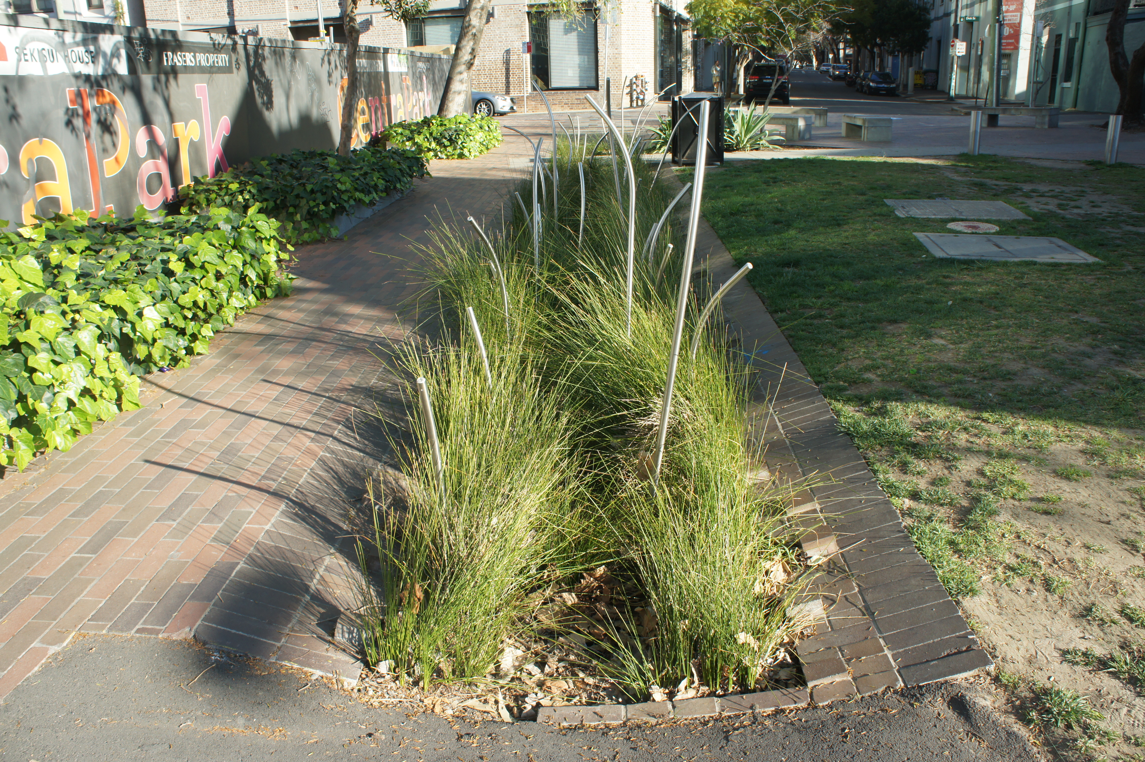 rain garden in Florida
